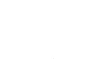 Palm Paradise